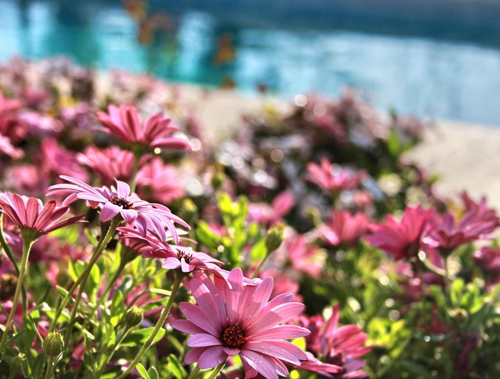 Villa Paradise Paphos Quarto foto